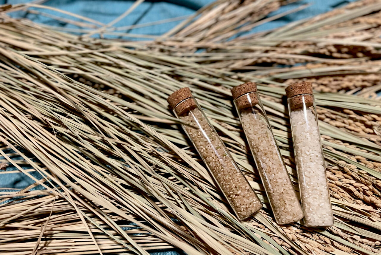 藝術農民のお米（選べる精米タイプ）