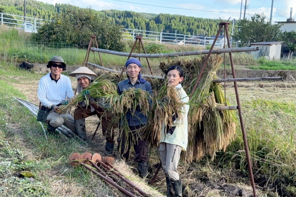 令和7年ゆめみづほ稲刈り